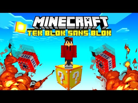MINECRAFT AMA TEK BLOK ŞANS BLOĞU ⭐ EFE ARI ⭐ MINECRAFT