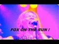 THE SWEET/BRIAN CONNOLLY : FOX ON THE RUN ...