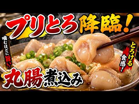 【臭みゼロ】プリッとトロける！マル腸の下処理から煮込みまで完全解説!