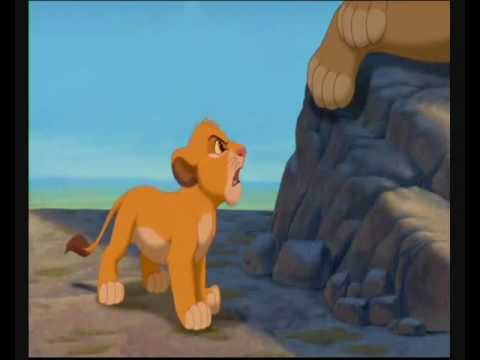 The lion king-Tiger Boo