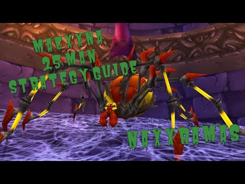 MAEXXNA STRATEGY VIDEO - WRATH CLASSIC - NAXXRAMAS 25
