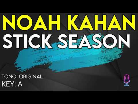 Noah Kahan - Stick Season - Karaoke Instrumental