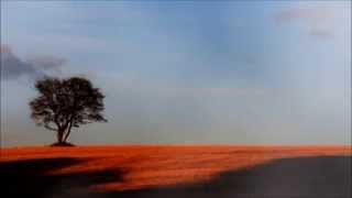 Nemra - Seasons (Lullaby)