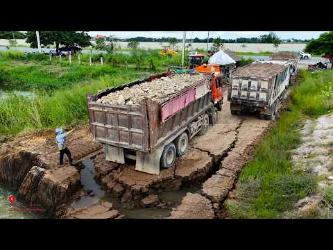At First​ Starting! Smooth Filling The Dirty or Cutter Clean Land With Many​ Dongfeng Trucks & Dozer