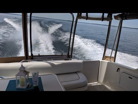 Mid June Boat Cruise - Sea Ray Sundancer