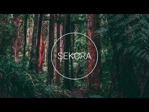 Ferreck Dawn x GUZ x L I T  - Caught In The Rain (Extended Mix)