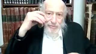 מה היה תפקידה של הממשלה שנפלה?