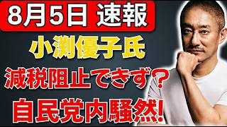 【自民党内騒然】小渕優子氏、首相の減税決断を止められず？激しい反応にネット騒然