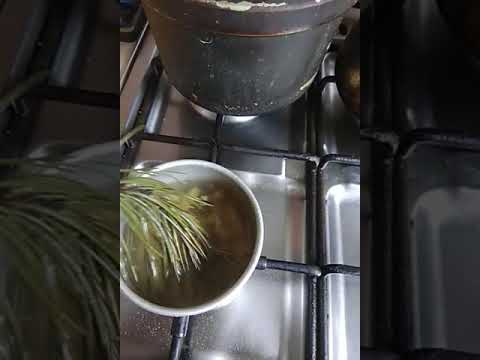 Напиток из хвои и имбиря