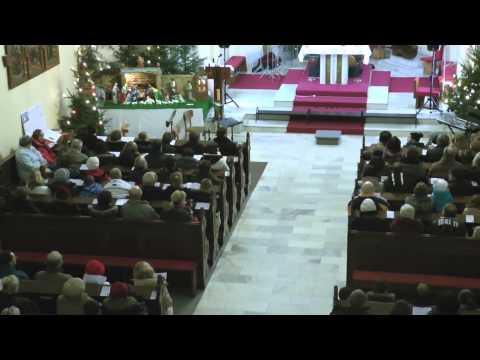 Novoroční koncert 11.1. 2015 - 1. Jan Neubauer - varhany