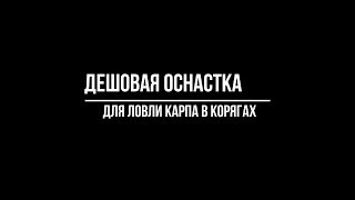 Монтаж для ловли карпа в корягах