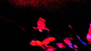 The Horrible Crowes - Go Tell Everybody (Bowery Ballroom NYC) HQ