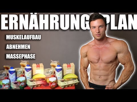 ERNÄHRUNG - So erreichst du deinen Traumkörper | + Ernährungsplan und Supplements