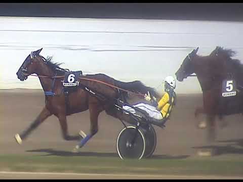 Trotto 20/06/2020 - 7ª corsa