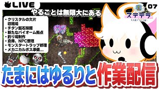 【Terraria/7日目】無限作業編です、たまには裏でやることをお見せします【ステテラ】