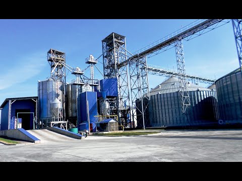 Sunflower cake, granulated sunflower meal