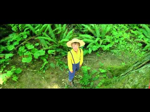 Reflexões 36 - Mantra xamânico