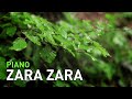 Zara Zara Rehnaa Hai Terre Dil Mein Piano Instrumental