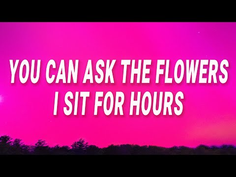 Connie Francis - You can ask the flowers I sit for hours (Pretty Little Baby) (Lyrics)