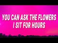 Connie Francis You Can Ask The Flowers I Sit For Hours Pretty Little Baby Lyrics