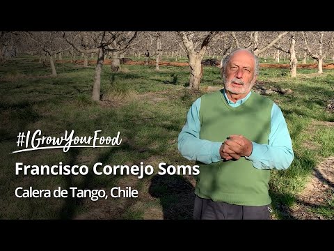 #IGrowYourFood - Meet Francisco Cornejo, an organic walnut farmer from Chile 🇨🇱