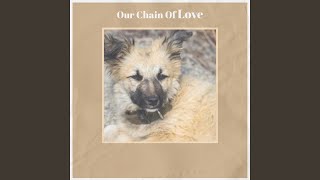 Sometimes You Just Can&#39;t Win