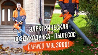 Воздуходувка электрическая DAEWOO DABL 3000E - видео №2