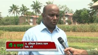 বিটি. বেগুন ২০১৫