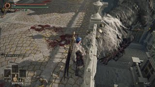 [ELDEN RING] ライオンちゃんの悲劇🥺