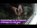 De kribjesroute in Nijmegen houdt stand