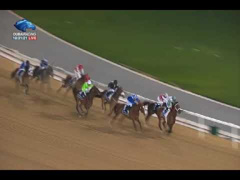 Racing at Meydan | Al Maktoum Challenge R1 G1 - 11\01\2018 - Paddy's day