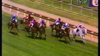 1995 Futurity Stakes - Schillaci