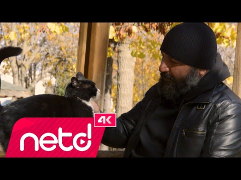 Azad Bitlis - Hiçlik