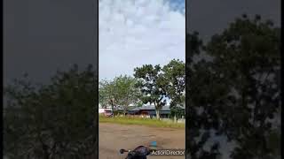 Download lagu Free Fly dengan burung kirik kirik. mp3