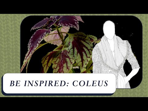 Discover the Art of Knitting Pattern Design: Be Inspired Series (INTRO)