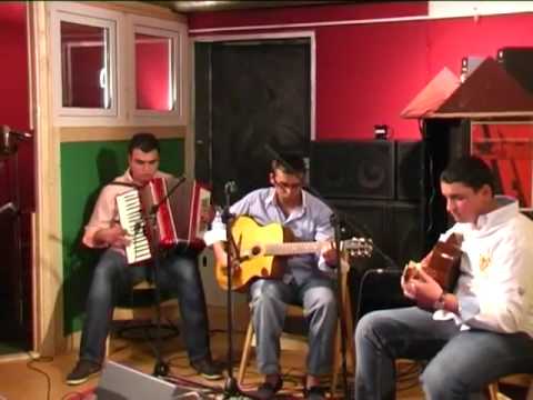 The Vigilance of Gipsy Swing Puppa Meinhard - Mu Tschie