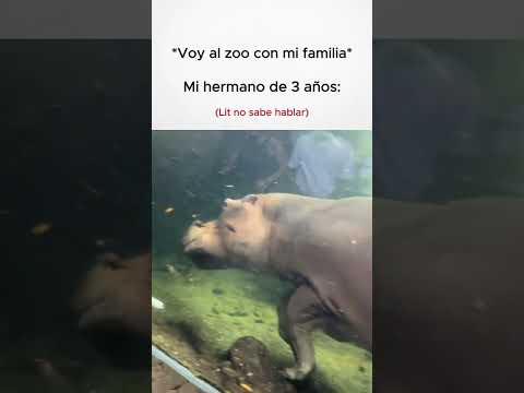 voy al zoo con mi familia mi hermano de tres años