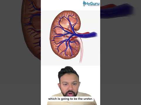 Renal Papillary Necrosis for the USMLE | HyGuru
