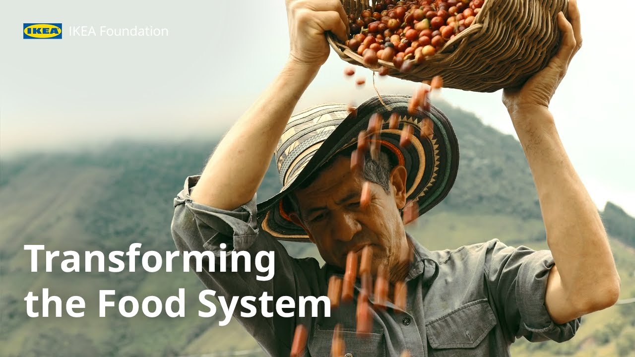 Transforming the Food System to Benefit People & Planet | IKEA Foundation
