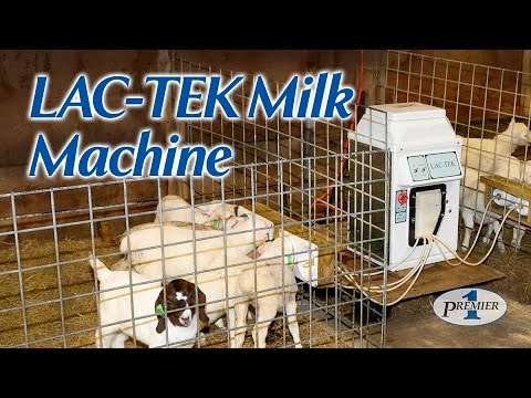 auto lamb milk feeder