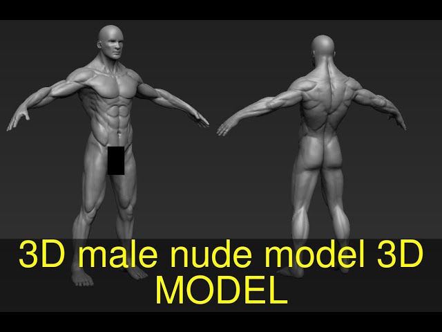 3d Boy Sex - 3D male nude model