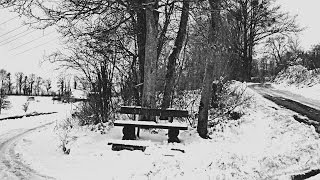 Pure - Le silence mortel