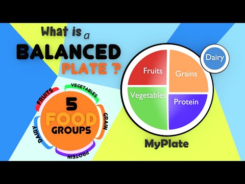 The Food Pyramid for Kids | Balanced Diet | Food Groups And Nutrition | Healthy Plate for Kids