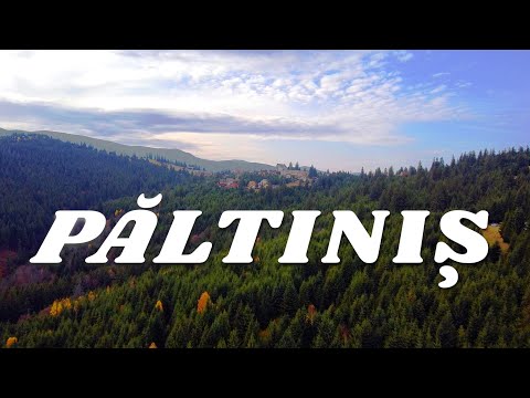 Păltiniș | județul Sibiu | România | Filmare aeriana 4K   #visitromania   #romania