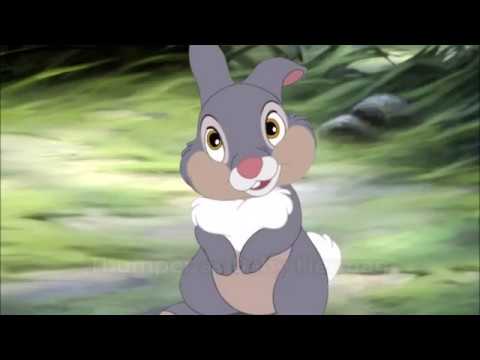 Who Framed Spike the Dragon Cast Video