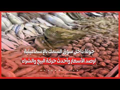 جولة داخل سوق السمك بالإسماعيلية لرصد الأسعار وأحدث حركة البيع والشراء 