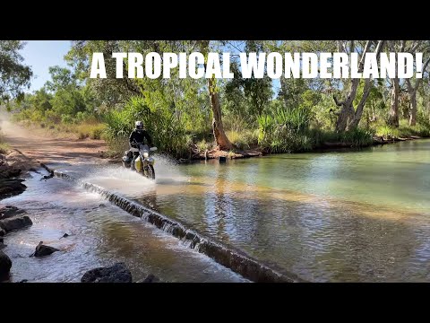 THE TRIP DESCENDS INTO DRUNKEN MADNESS! - Great Northern Adventure PART EIGHTEEN!