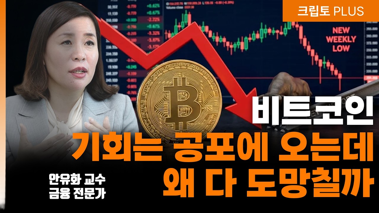 이란 중동 전쟁보다 무서운 양자컴퓨터? "올해 내년이 마지막 기회입니다" 반감기에도 폭락하는 진짜 이?