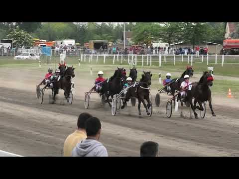 Trka "Fliger Derby" 19.05.2019 Alfa Varenne - Pejić Tukuljac Stana