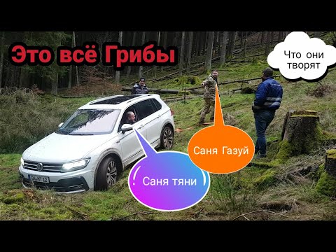 Vw Tiguan vs Suzuki Jimny vs Nissan Patrol Ford Maverik Offroad снова засадили Тигуана